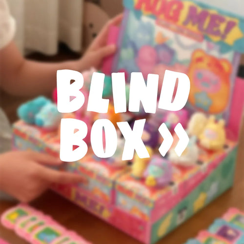 Blind Box