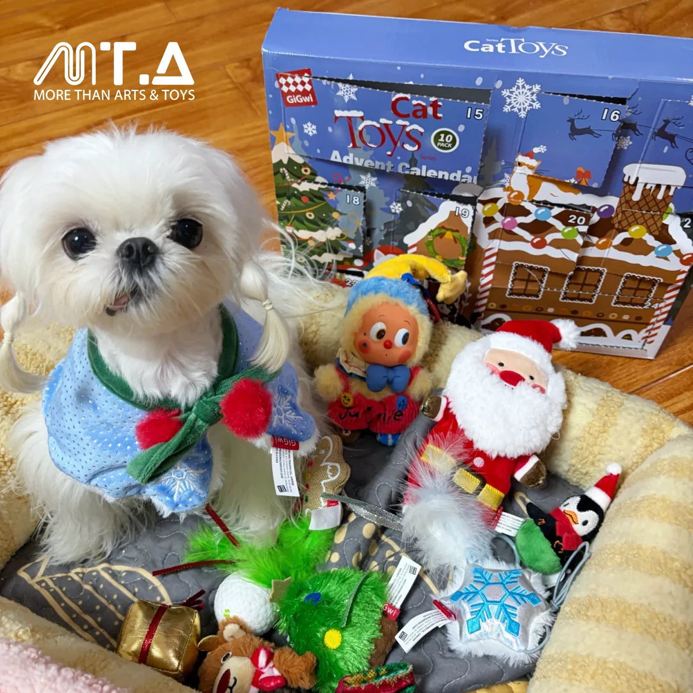 Christmas Advent Calendar Cat Toys Gift Set